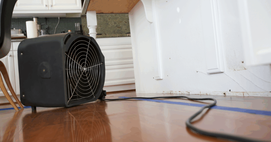 A black industrial fan sits on a wooden floor, blowing air toward a white wall with visible water damage. Electrical cords extend from the fan, and kitchen cabinets are seen in the background.