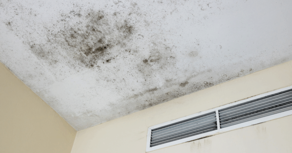 A ceiling corner with large black mold patches and stains near an air vent, indicating moisture damage and poor ventilation.